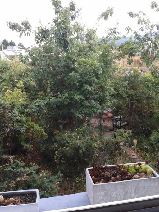 קולמר Logement Independant מראה חיצוני תמונה