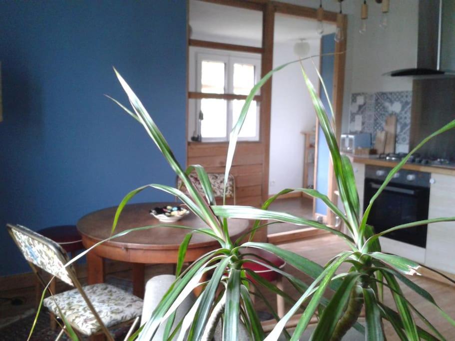 קולמר Logement Independant מראה חיצוני תמונה