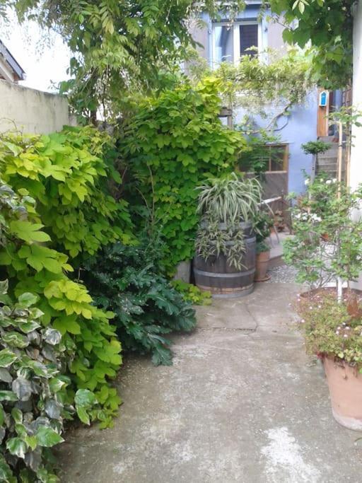 קולמר Logement Independant מראה חיצוני תמונה
